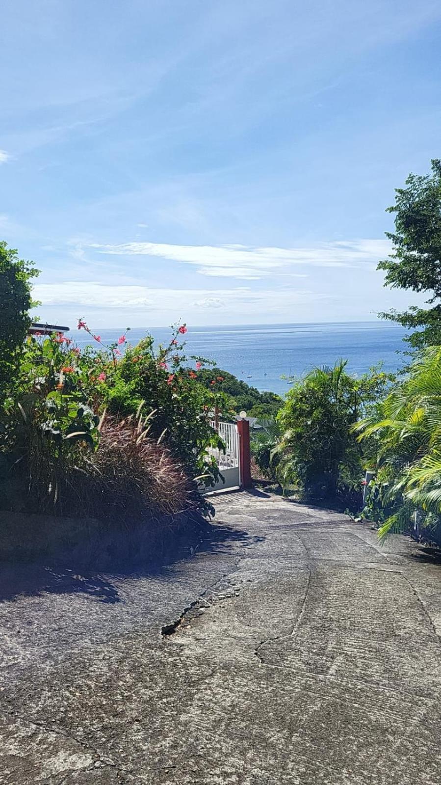 Villa L'Eden Caraibe Pigeon Esterno foto